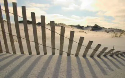 Developing a Positive Attitude