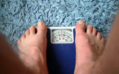 Updates and Improvements