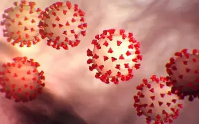 Covid-19 Update: Sessions at our Buckhead Office