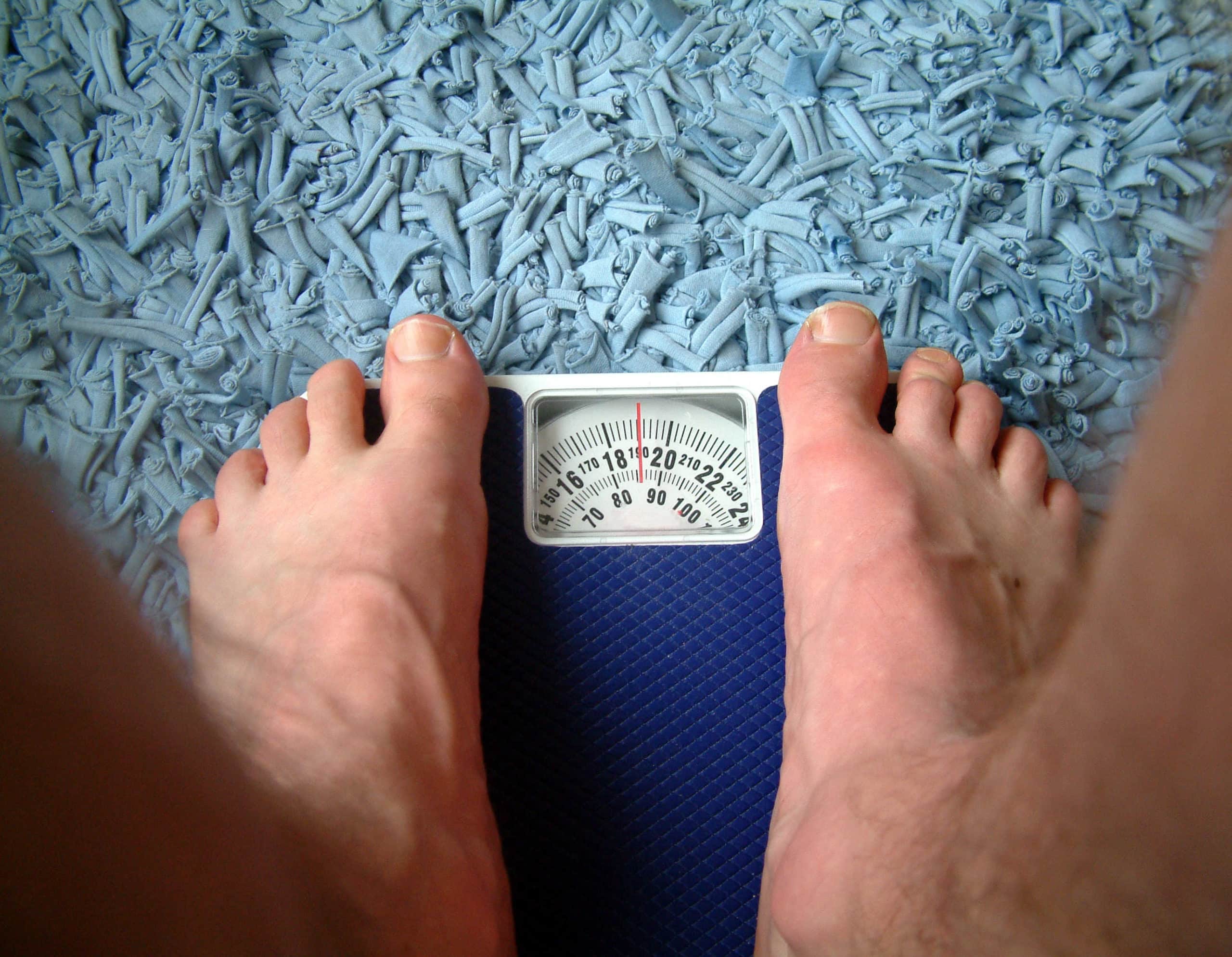 Updates and Improvements